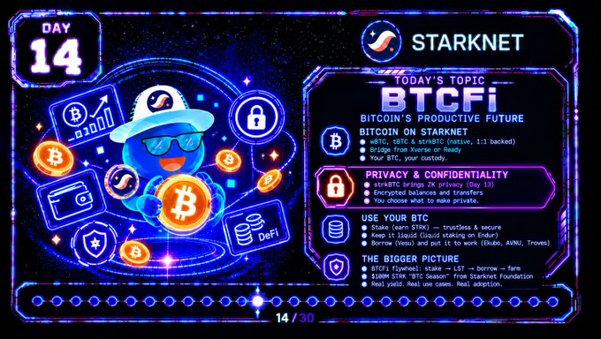 An informational graphic titled 'STARKNET' for 'DAY 14' explaining 'BTCFi: BITCOIN'S PRODUCTIVE FUTURE' with sections on Bitcoin on Starknet, Privacy & Confidentiality, Use Your BTC, and The Bigger Picture.