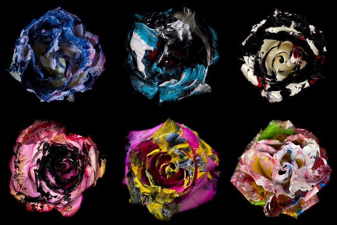 Six stylized, digitally rendered roses in various colors (blue, black, cream, pink, magenta, and white) arranged in two rows against a black background.