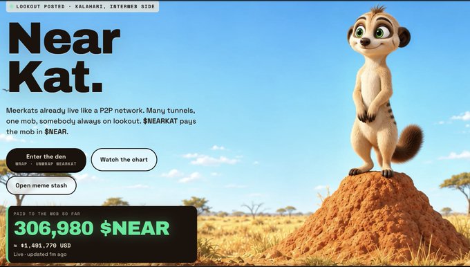 A promotional graphic titled 'Near Kat' features a cartoon meerkat and advertises '306,980 $NEAR' (≈ $1,491,770 USD) paid to the mob, describing meerkats as a P2P network with tunnels and lookouts.