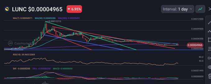 CoinMarketCap chart for LUNC at $0.00004965 showing a 6.95% decrease, with moving averages (MA7, MA30, MA200) and RSI indicator displayed on a dark background.