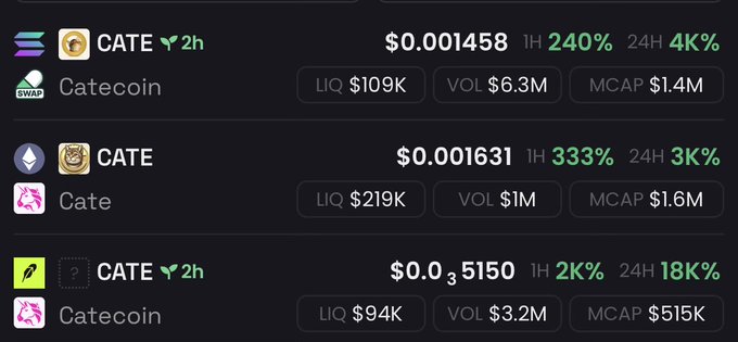 Three different cryptocurrency tokens all using the ticker "CATE" (Catecoin) are listed across different chains, showing similar names with varying prices ($0.001458, $0.001631, $0.0₃5150) and market caps, illustrating the post's point about how runners spawn multiple duplicate meme coins on different chains competing for the "OG" title.