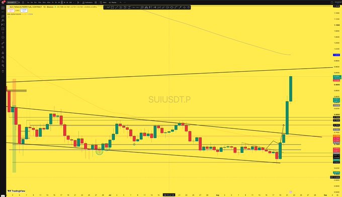A TradingView financial chart with a yellow background displaying 'SUIUSDT.P' with green and red candlesticks and various trend lines.