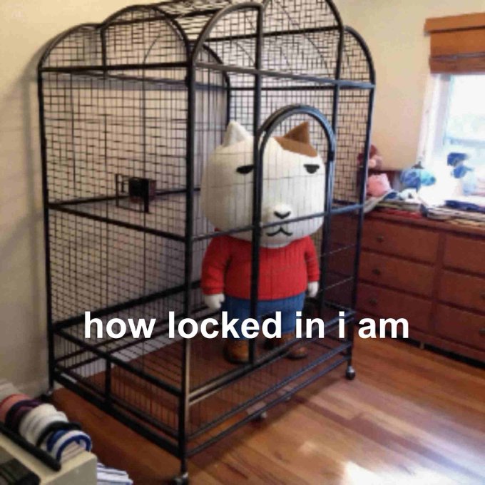 A plush cat wearing a red sweater sits inside a large birdcage, with the caption “how locked in i am.” The scene humorously mirrors the post’s claim of being “locked in” to a $KET accumulation position.