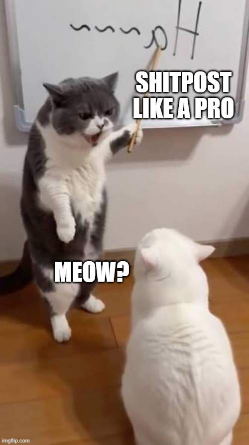 A gray and white cat stands on its hind legs drawing on a whiteboard with a marker, while a white cat watches below. The image includes the text "SHITPOST LIKE A PRO" labeling the drawing cat and "MEOW?" labeling the observing cat, humorously illustrating the accompanying post about creating a "shitpost of a shitpost" or "shitpostception."
