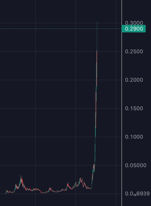 A cryptocurrency candlestick chart shows a long period of sideways action near 0 before a sudden vertical spike to a recent high of 0.2900, illustrating the explosive parabolic move referenced in the post's request for "a coin that will do this."