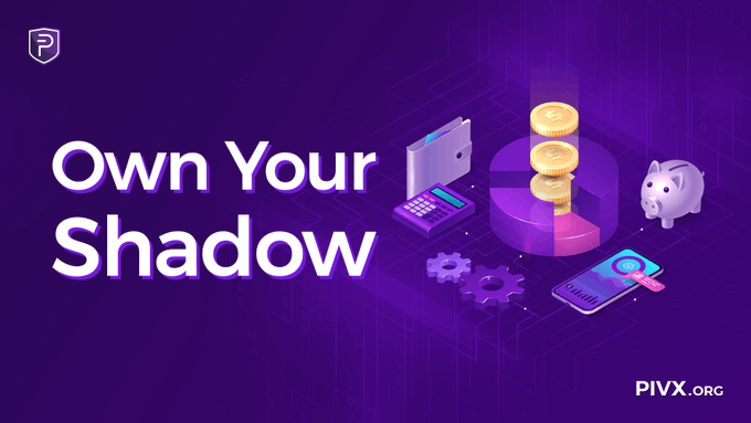 The image features a purple background with the text "OWN YOUR SHADOW" written above it, along with various objects related to finance such as a piggy bank, calculator, and money stack. The objects are arranged in a way that they appear to be floating or hovering over each other, creating an illusion of shadow-like shapes. This visual effect is meant to represent the idea of taking control of one's financial life by understanding and managing their finances independently, without relying on others for information or guidance.