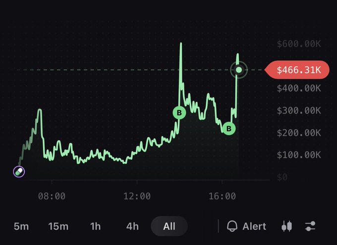 A dark-themed financial trading chart showing a green price line with two 'B' buy markers, reaching a peak value of $466.31K with time intervals from 5m to 'All' and an Alert option at the bottom.