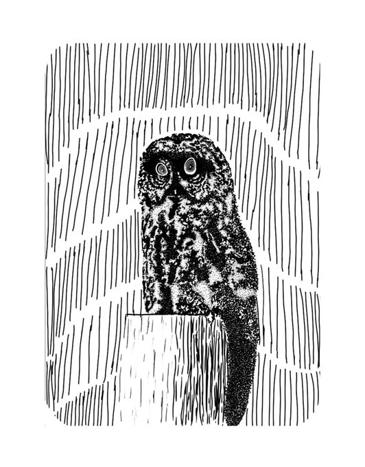 A black-and-white line drawing of an owl perched against a background of vertical lines.