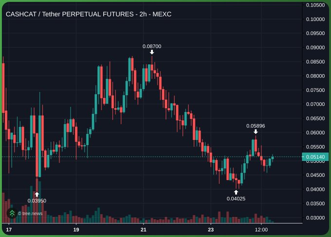 A 2-hour MEXC candlestick chart for CASHCAT/USDT perpetual futures shows a volatile range with a high of 0.08700 on the 21st and a low of 0.03950, currently trading around 0.05140 after a brief bounce off 0.04025. The chart illustrates the kind of high-volatility meme coin the post is referencing—suggesting CASHCAT as a leading meme worth accumulating rather than chasing random runners during the bear market.