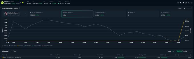 A MintChain block explorer page titled 'What Are Holders Doing?' showing a balance distribution chart with metrics: 707.95M Total Mint, 2.53M Total Minters, and 47.79M Exchange, with a holder distribution line graph.