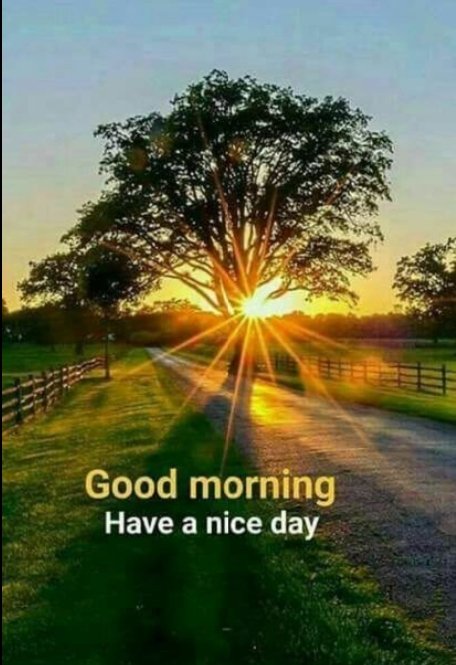 A scenic landscape photo of a sunburst shining through a large tree over a country road, with text reading "Good morning / Have a nice day."