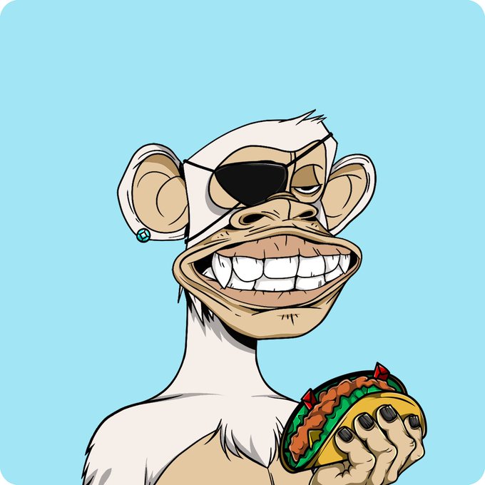 A cartoon illustration of a smug white monkey wearing a black eye patch and holding a taco against a light blue background.