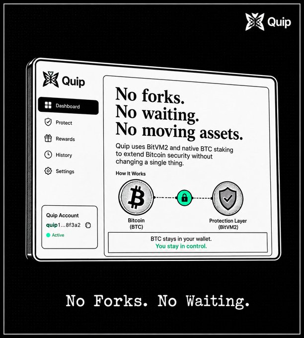 The image shows a poster with a cartoon style, featuring a computer screen displaying a website called Quip. The poster has a message that reads "No Forks. No Waiting." This message seems to be related to Bitcoin or blockchain technology, as indicated by the presence of a Bitcoin symbol in the center of the poster. The poster also includes text about Bitcoin wallets and how they can help protect capital.