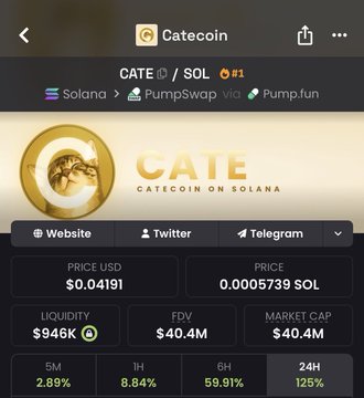 A screenshot of the Catecoin ($CATE) token page on a crypto tracking app, showing it trading on Solana via PumpSwap/Pump.fun with a price of $0.04191, liquidity of $946K, FDV of $40.4M, and 24-hour gains of 125%. The dramatic 24H performance surge visually supports the post's claim that $CATE is on the verge of surpassing $CASHCAT in market standing.