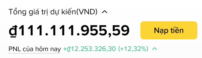 A Vietnamese finance app screenshot displays a total estimated value of 111,111,955.59 VND with today's PNL showing a gain of 12,253,326.30 (+12.32%) next to a yellow 'Nạp tiền' button.