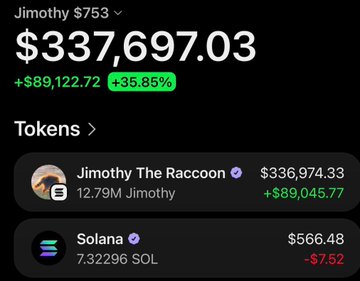A crypto portfolio screenshot showing 'Jimothy' wallet balance of $337,697.03 (+35.85%), holding 12.79M Jimothy The Raccoon tokens and 7.32296 SOL.