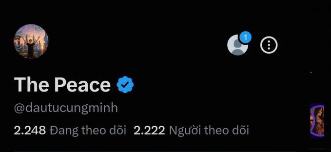 A social media profile page for 'The Peace' (@dautucungminh) with a verified badge, showing 2,248 following and 2,222 followers.
