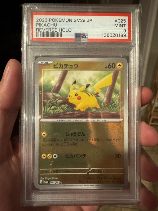 A hand holding a PSA-graded 2023 Pokémon SV2a Japanese Pikachu Reverse Holo card (#025) with a Mint 9 grade, certificate number 136020189.