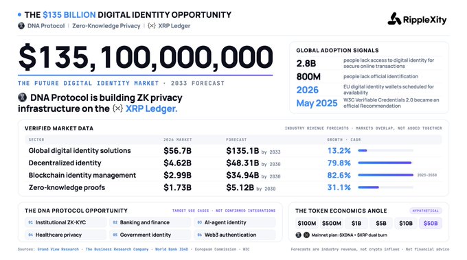 An infographic by RippleXity about 'THE $135 BILLION DIGITAL IDENTITY OPPORTUNITY' featuring DNA Protocol on the XRP Ledger, with market data, adoption signals, and token economics details.