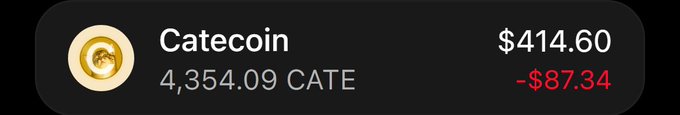 A cryptocurrency portfolio widget showing Catecoin holdings of 4,354.09 CATE valued at $414.60, with a daily loss of -$87.34 displayed in red.