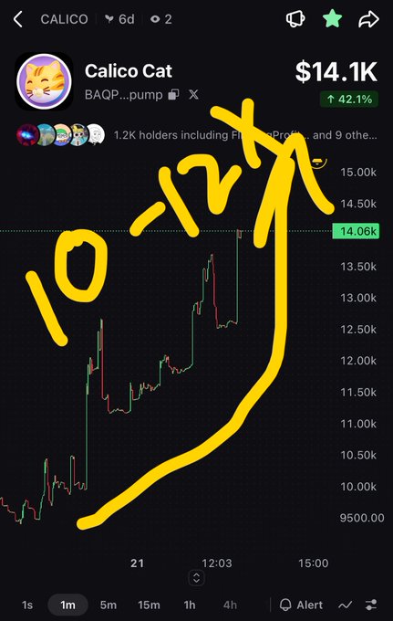 Mobile chart screenshot of the Calico Cat meme coin at $14.1K, up 42.1%, with a large yellow hand-drawn annotation pointing upward with '10-17x' text.