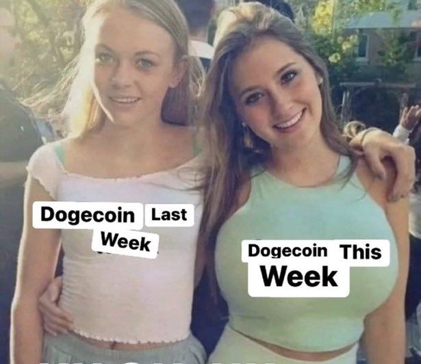 A "Hot Girl Walk" meme shows a slim woman labeled "Dogecoin Last Week" standing next to a curvier woman labeled "Dogecoin This Week," humorously illustrating how the cryptocurrency has gained value and bulked up recently.