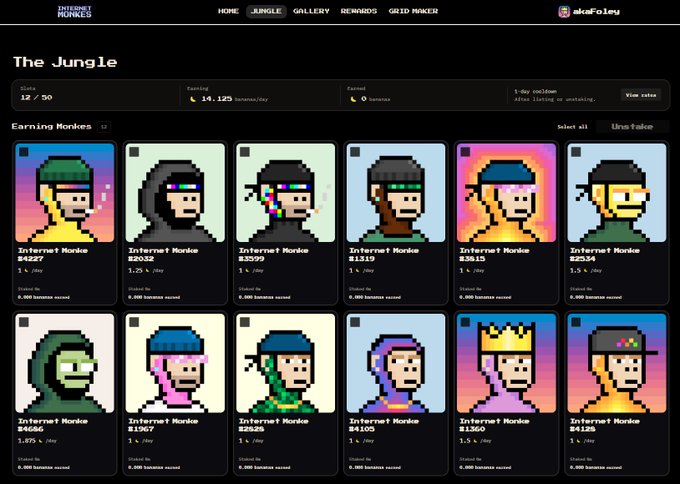A screenshot of an NFT collection called 'Internet Monke' showing a grid of pixel-art monkey profile pictures, with stats indicating 12/50 slots and 14.12K monkes earned.