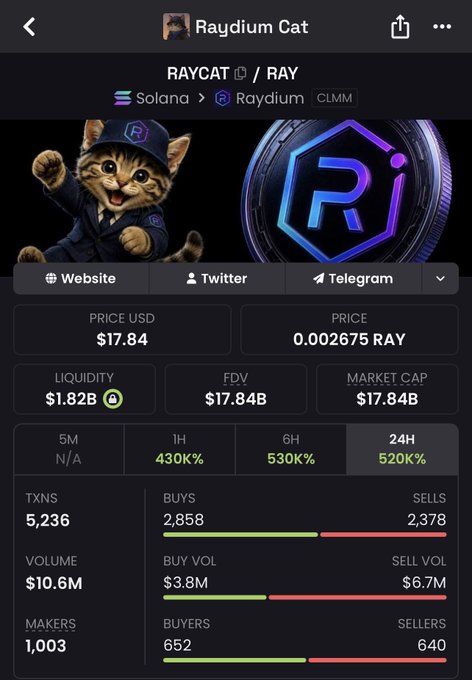 A cryptocurrency tracker page for Raydium Cat (RAYCAT/RAY) on Solana network, showing price $17.84, FDV $17.84B, market cap $17.84B, with 1H/6H/24H gains of 430%/530%/520%.