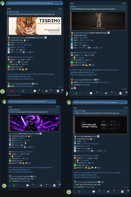Four Telegram messages advertising memecoin listings on 'TIGRISNO' and 'A9PAY', showing cat imagery, token fee information, and pump/donut bot alerts.