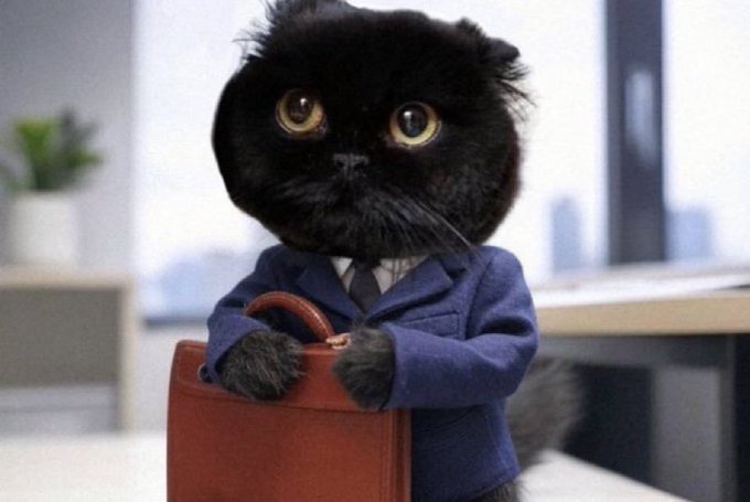 A black cat in a navy blue business suit holds a brown briefcase, looking ready for the corporate world—fitting the post's announcement of a big professional pivot toward going all-in on Slab Cash.
