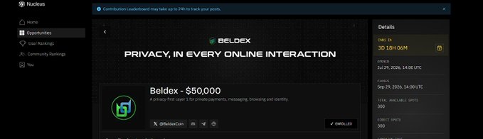 A website interface for 'Beldex - $50,000' features the tagline 'PRIVACY, IN EVERY ONLINE INTERACTION' alongside an 'Oportunities' sidebar menu.