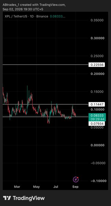 A TradingView daily chart of XPL/USDT showing a price of $0.08333, with the price having steadily dropped from highs near $0.22556 to lows around $0.07934 — visually capturing the steep decline that explains the poster's worry about regretting their $XPL position.