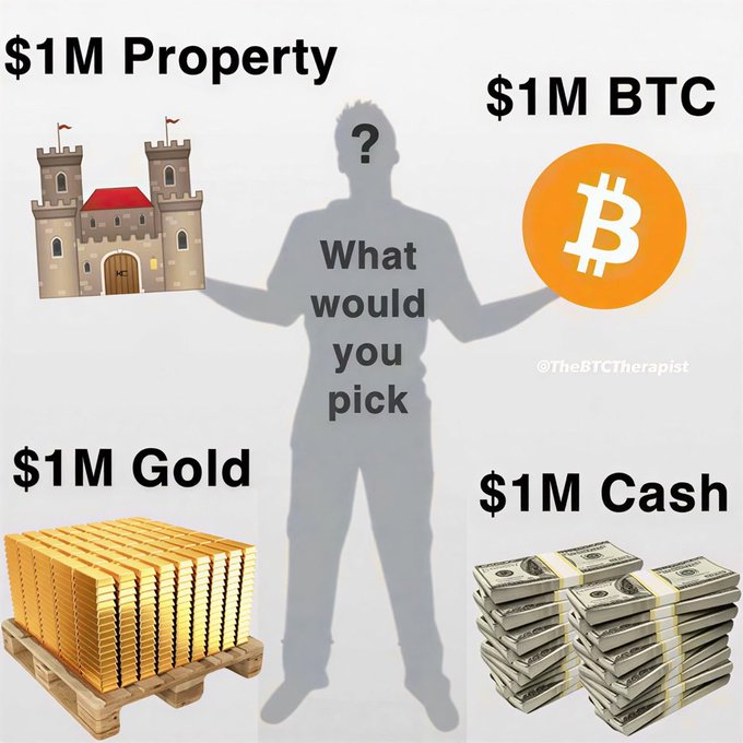 The image presents a "what would you pick" choice featuring a silhouetted figure choosing between $1M in property (castle), BTC, gold bars, or cash stacks, with the user selecting Bitcoin. The caption "@TheBTCTherapist" appears alongside the Bitcoin option, aligning with the poster's preference for BTC.