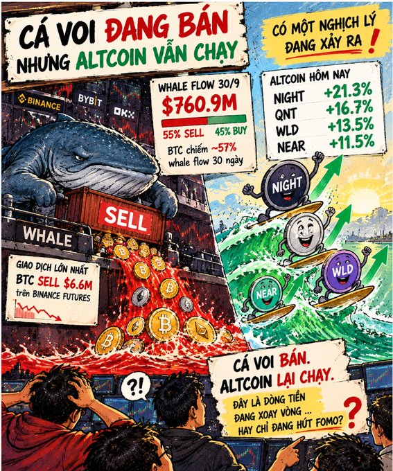 A Vietnamese crypto market illustration titled 'CÁ VOI ĐANG BÁN NHƯNG ALTCOIN VẪN CHẠY' (Whales are selling but altcoins still running), showing a whale on a ship selling BTC with data ($760.9M whale flow, 55% sell/45% buy) while altcoins NIGHT (+21.3%), QNT (+16.7%), WLD (+13.5%), and NEAR (+11.5%) rise.
