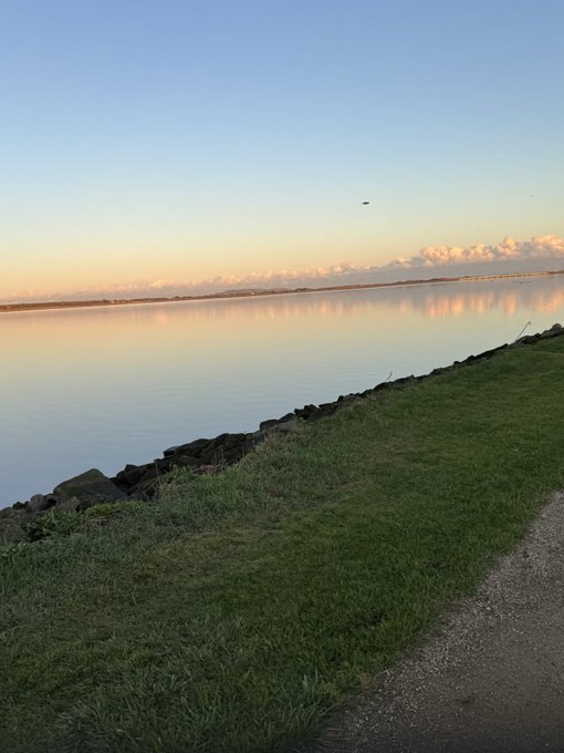 A tranquil morning view of a calm body of water at sunrise or sunset, with a grassy shoreline and rocky embankment in the foreground, perfectly capturing the peaceful "Good morning fam" sentiment. A single bird can be seen flying in the distance over the still water.