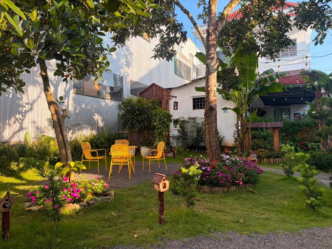 A garden area with yellow patio chairs, surrounded by pink flowers and green plants, in front of a house with a corrugated metal fence.