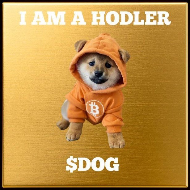 A meme image with a gold background featuring a Shiba Inu dog wearing an orange hoodie with a Bitcoin logo, with text reading 'I AM A HODLER' at the top and '$DOG' at the bottom.