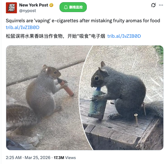 The image is a New York Post tweet featuring two photos of a squirrel appearing to vape from e-cigarettes, with the headline "Squirrels are 'vaping' e-cigarettes after mistaking fruity aromas for food" and Chinese translation below. The accompanying post references this viral squirrel as a tongue-in-cheek analogy for $VS (7777) holders being "sucked into a black hole," comparing investors drawn into the stock to the squirrel mistakenly inhaling e-cigarette vapor it thought was food.