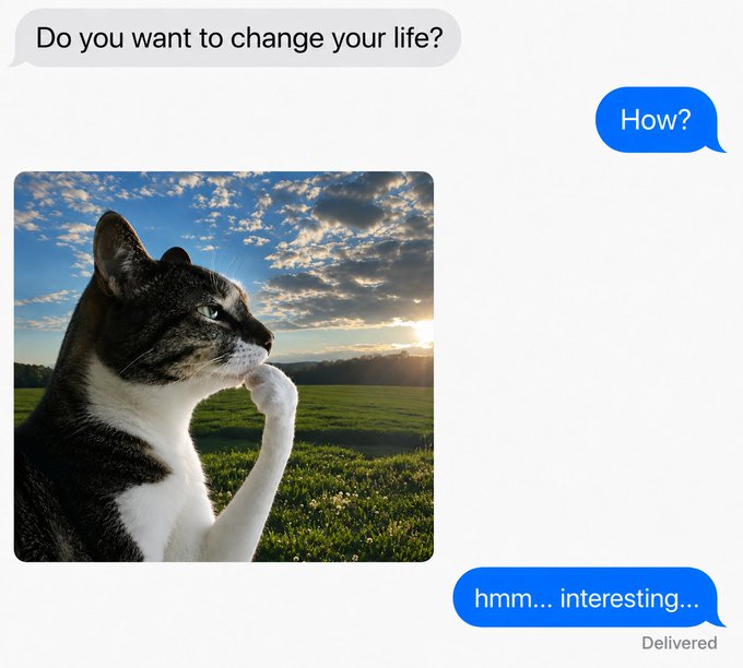 A text message exchange showing "Do you want to change your life?" / "How?" followed by an image of a contemplative cat with the response "hmm... interesting..." The image relates to the post about hiring for the $HMM meme project and the Thinking Cat community, fitting the meme theme with its curious cat pondering a life-changing opportunity.
