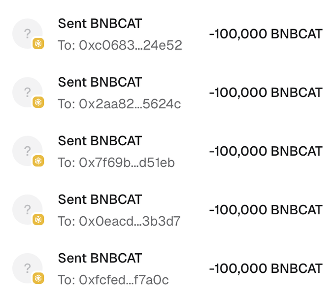 A list of five $BNBCAT token transfers of 100,000 BNBCAT each to different wallet addresses (0xc0683...24e52, 0x2aa82...5624c, 0x7f69b...d51eb, 0x0eacd...3b3d7, and 0xfcfed...f7a0c), corresponding to the airdrop claim instructions requiring eligible #BNB addresses to receive 100,000 BNBCAT per wallet.