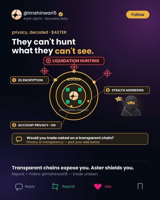 A social media post by @imshinwari5 promoting the $ASTER token, with the tagline 'They can't hunt what they can't see' and features highlighting ZK encryption, stealth addresses, and account privacy.