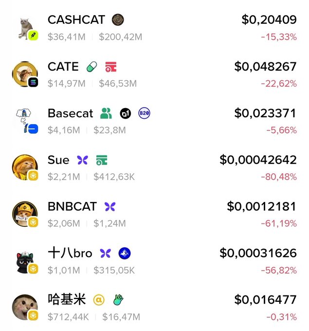 A cryptocurrency price list showing tokens including CASHCAT ($0.20409, -15.33%), CATE ($0.048267, -22.62%), Basecat ($0.023371, -5.66%), and others with significant percentage declines.