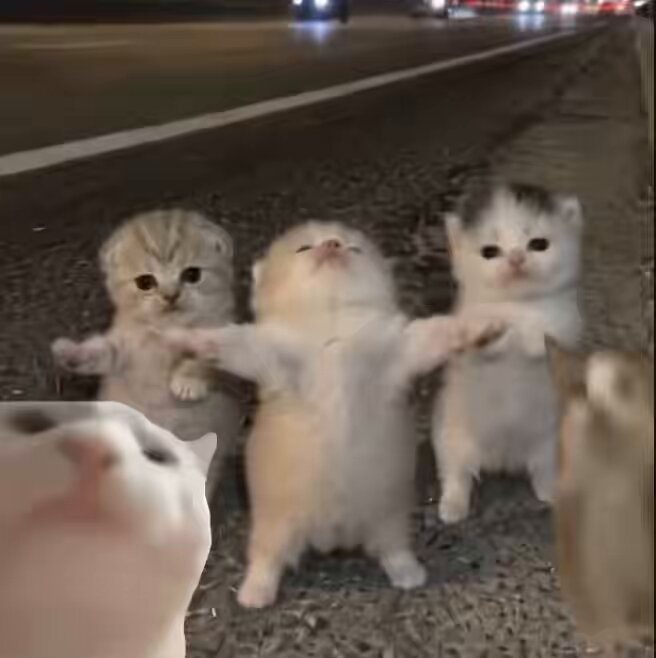 None