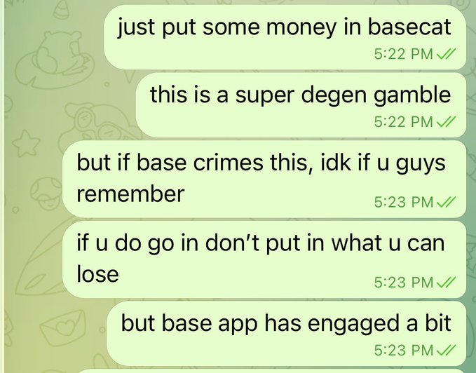 WhatsApp messages on a green background reading: 'just put some money in basecat', 'this is a super degen gamble', 'but if base crimes this, idk if u guys remember', 'if u do go in don't put in what u can lose', and 'but base app has engaged a bit'.