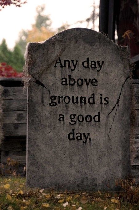 A weathered tombstone in a graveyard bears the inscription: "Any day above ground is a good day."