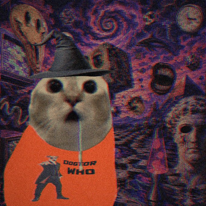 A surreal, glitchy image featuring a cat wearing a black witch hat and an orange 'Doctor Who' shirt with the Tenth Doctor on it, set against a distorted, nightmarish background.