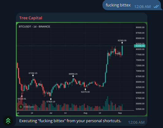 A BTC/USDT 1-day candlestick chart from Binance showing Bitcoin's price ranging from ~$57,800 to ~$82,300, with a Telegram message 'fucking bittex' triggering an executing Siri shortcut.
