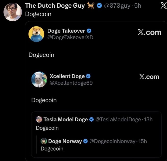 A tweet from 'The Dutch Doge Guy' (@070guy) displays a thread of accounts including 'Doge Takeover', 'Xcellent Doge', 'Tesla Model Doge', and 'Doge Norway', all with 'Dogecoin' as their post text.