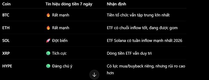 A Vietnamese cryptocurrency market summary table showing 7-day momentum signals for BTC (Rất mạnh), ETH (Rất mạnh), SOL (Đột biến), XRP (Tích cực), and HYPE (Đáng chú ý), along with brief assessment notes.