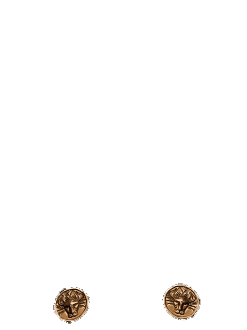 The image displays "AURA" in elegant gold serif lettering at the top, with two small bronze lion head medallions at the bottom, evoking a regal and luxurious aesthetic fitting for the AURA brand.